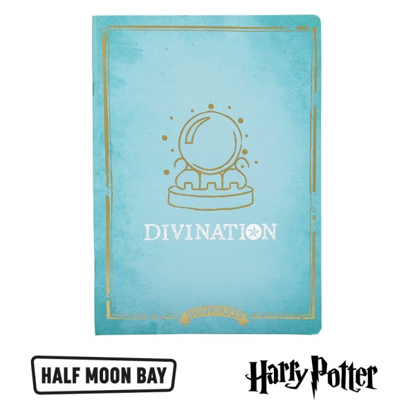 HARRY POTTER -  1